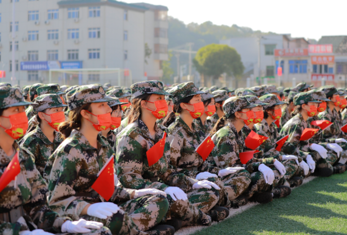 1664601444787020645.png 活动现场 马.png