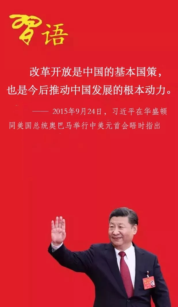 强强强强.webp.jpg