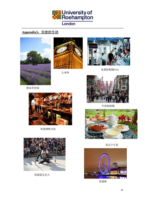 1559807671745050721.png 罗汉普顿大学项目手册_13.png