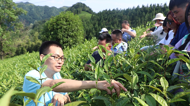 微信图片_20230726163651.png